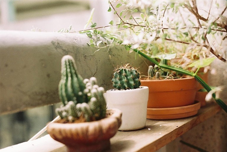Quà cưới nên tặng gì? 20 ý tưởng tặng quà độc đáo và ý nghĩa -ảnh 11