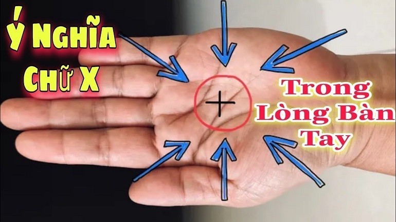 Người có dấu X trong lòng bàn tay thường khá biết rõ mình cần làm gì để có thể đạt được hiệu quả cao công việc - Ảnh 14