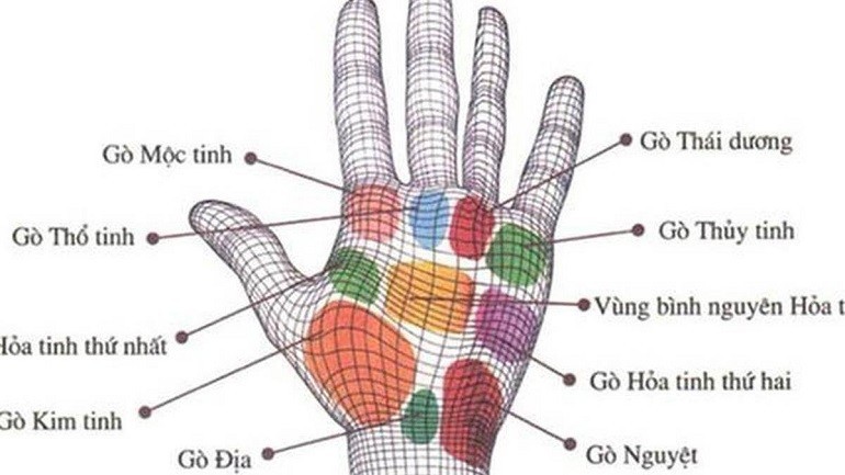 Người có bàn tay chữ X tại gò Mộc Tinh thường khá biết nắm bắt cơ hội và thời cơ để phát triển và vươn lên trong sự nghiệp và cuộc sống - Ảnh 18