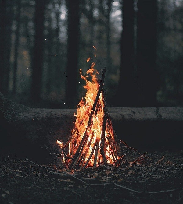 Cung Sư Tử (23/7 - 22/8) hợp với cung nào màu gì tính cách - hình 2