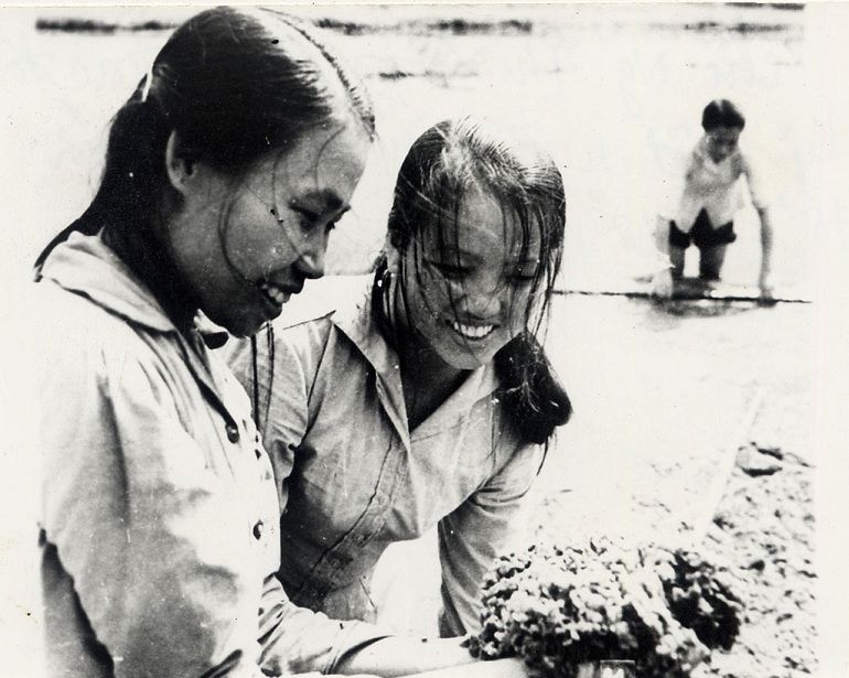 20/10 là ngày gì? Ngày Quốc tế Phụ nữ hay Phụ nữ Việt Nam? - Ảnh: 3