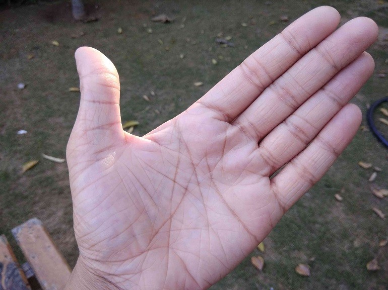 Đường chỉ tay có hình chữ X tại gò Thổ Tinh thường đem đến may mắn khi kinh doanh những ngành nghề liên quan đất đai và bất động sản - Ảnh 19