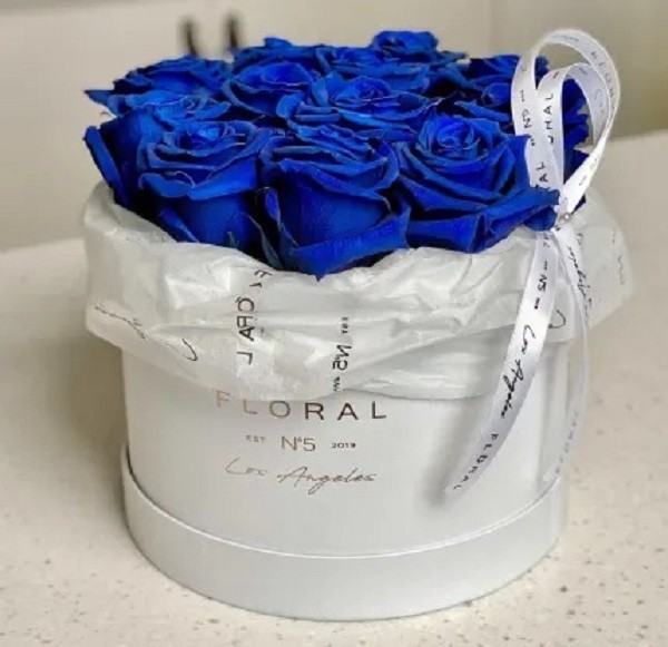 Ý nghĩa hoa hồng xanh, tặng cho ai, vào dịp nào là đúng? - Ảnh 24