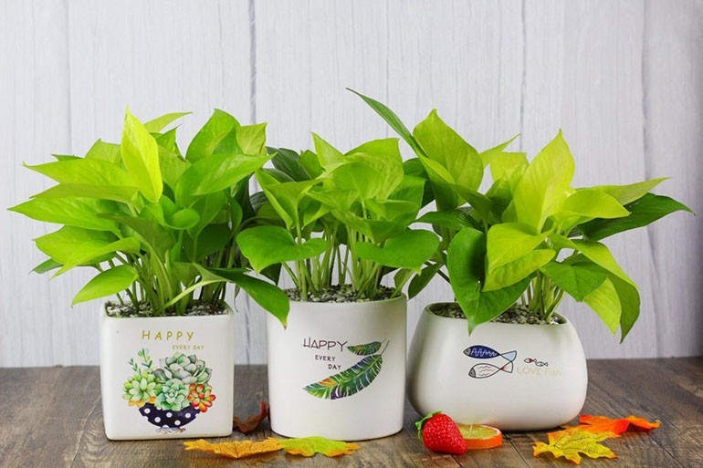 30 món quà giáng sinh cho bạn trai ý nghĩa và bất ngờ nhất - Ảnh 27