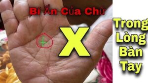 Bàn tay chữ X ở lòng bàn tay tốt hay xấu, giàu hay nghèo? - Ảnh 2