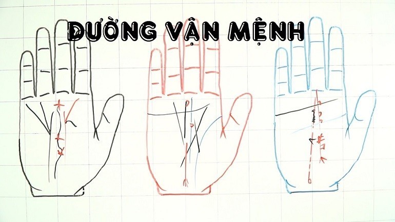 Đường vận mệnh có đường chỉ vân đảo là trong số những đường chỉ tay không nên có - Ảnh 11