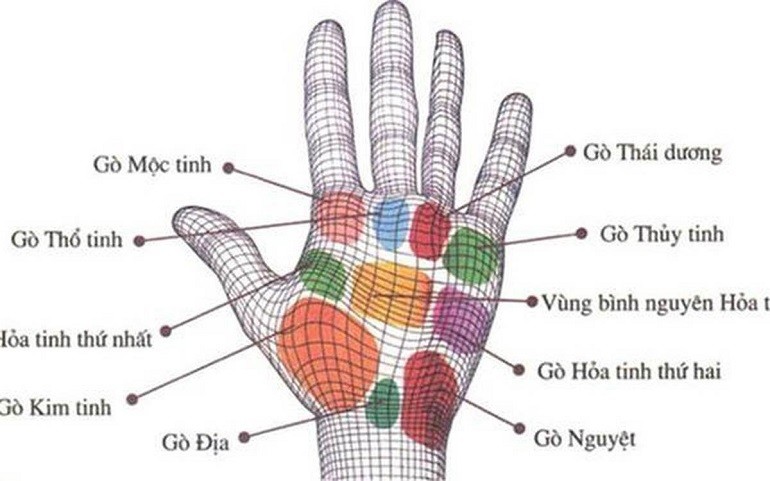 Đường chỉ tay xui xẻo hình lưới ở gò Kim tinh tác động đến đời sống khá nhiều - Ảnh 12