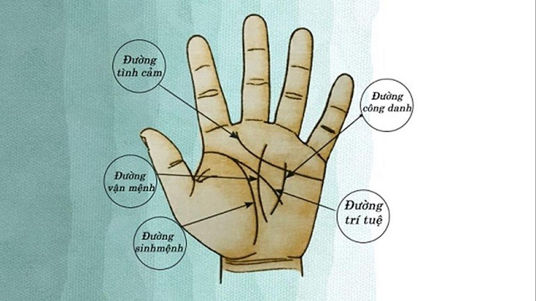 Bạn có thể nhận về xui xẻo những đường chỉ tay xấu mang lại - Ảnh 16