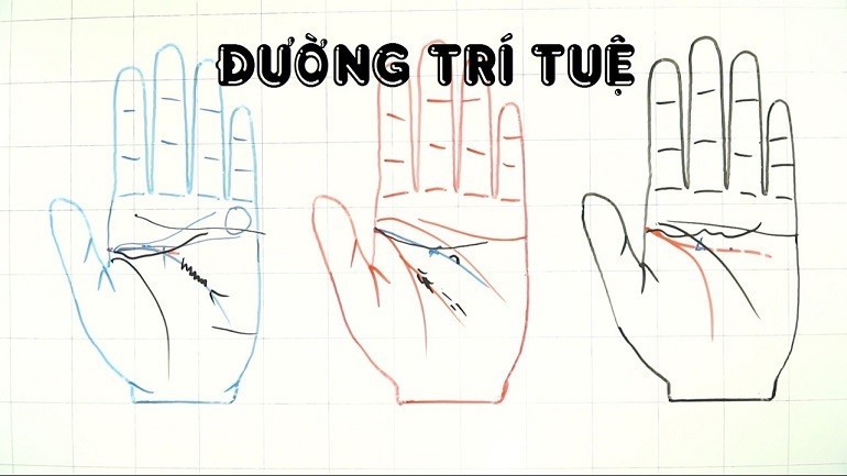 Những đường chỉ tay không nên có phải kể đến đường trí tuệ ngắn - Ảnh 6