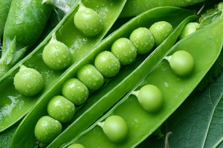 Cung hoàng đạo tháng 10 Thiên Bình thích hợp với màu xanh là - Ảnh 7